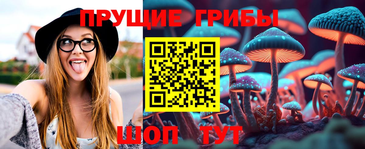 Псилоцибиновые грибы мицелий  Вход с VPN  Кувандык 