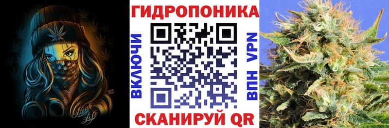 Каннабис VHQ Кувандык